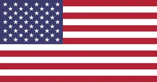 american flag-Skokie